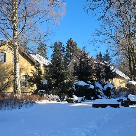 Hvězda